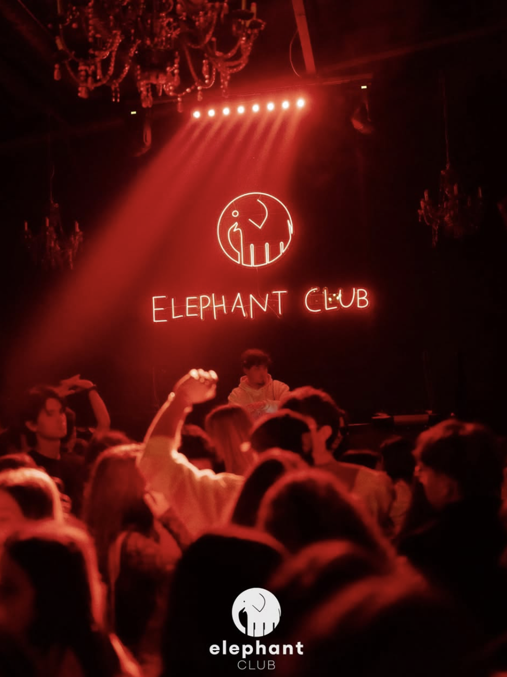 Éléphant Club à Perpignan